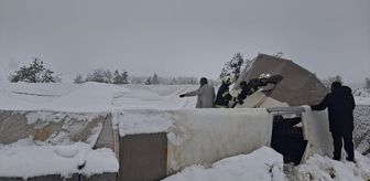 Tavas'ta kar nedeniyle çöken çadırın altında kalan hayvanları itfaiye kurtardı