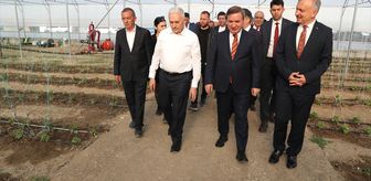 TDT Aksakallar Konseyi Başkanı Yıldırım, Erzincan'daki Toplu Sera Bölgesi'nde incelemelerde bulundu