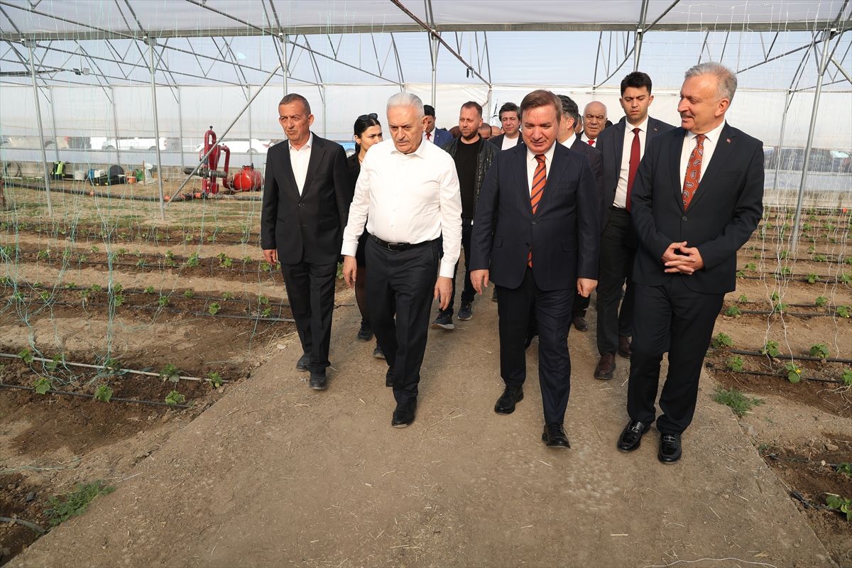 TDT Aksakallar Konseyi Başkanı Yıldırım, Erzincan'daki Toplu Sera Bölgesi'nde incelemelerde bulundu