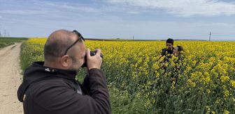Tekirdağ'da kanola tarlasında foto safari düzenlendi