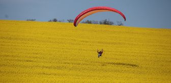 Tekirdağ'da paramotorla kanola tarlası üzerinde uçuş yapıldı