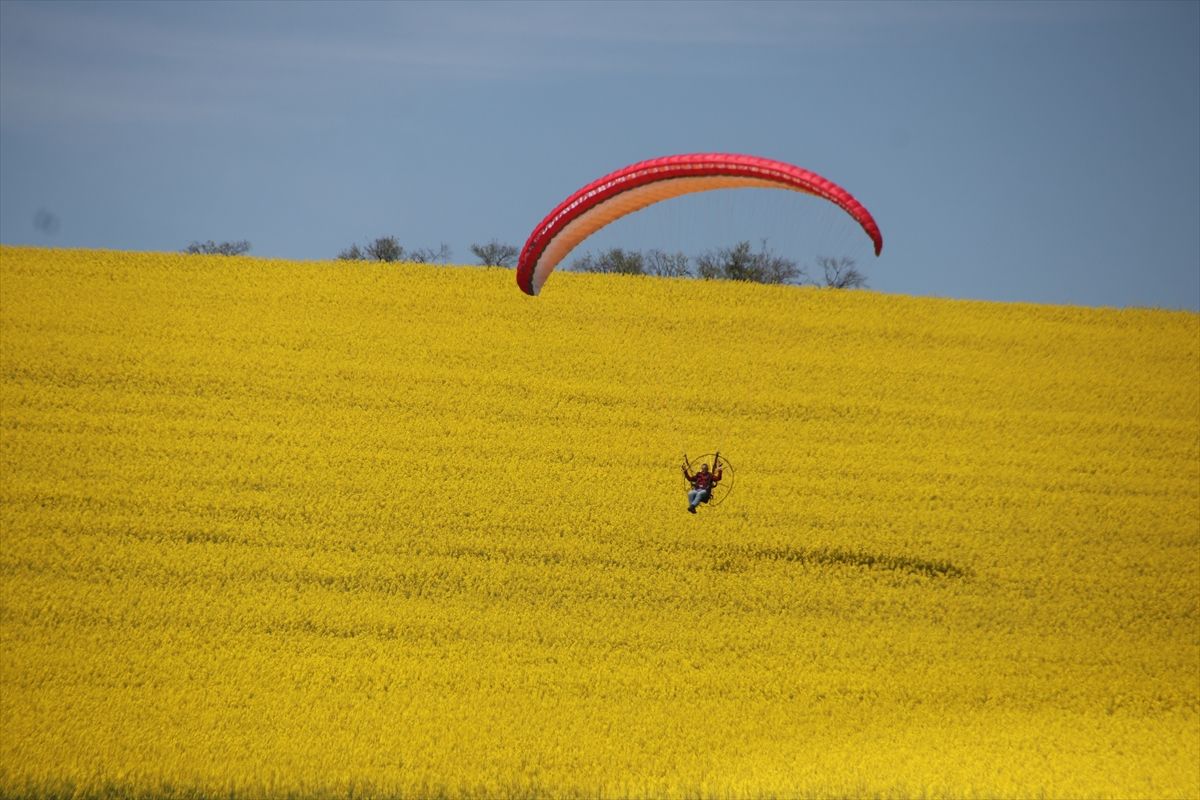 Tekirdağ'da paramotorla kanola tarlası üzerinde uçuş yapıldı