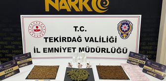 Tekirdağ'da uyuşturucu operasyonlarında yakalanan 10 şüpheli tutuklandı
