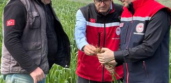 Tekirdağ'dan kısa kısa