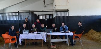 TİGEM, safkan Arap elit ve koşu taylarının seçimini tamamladı