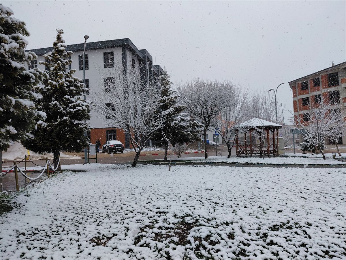 Tokat'ın Başçiftlik ilçesinde kar yağışı etkili oluyor
