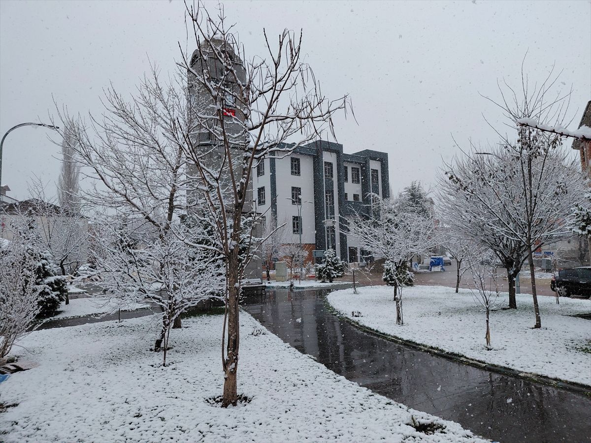 Tokat'ın ilçelerinde kar yağışı etkili oluyor