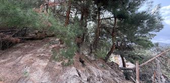 Tokat'ta heyelan nedeniyle 7 bina boşaltıldı