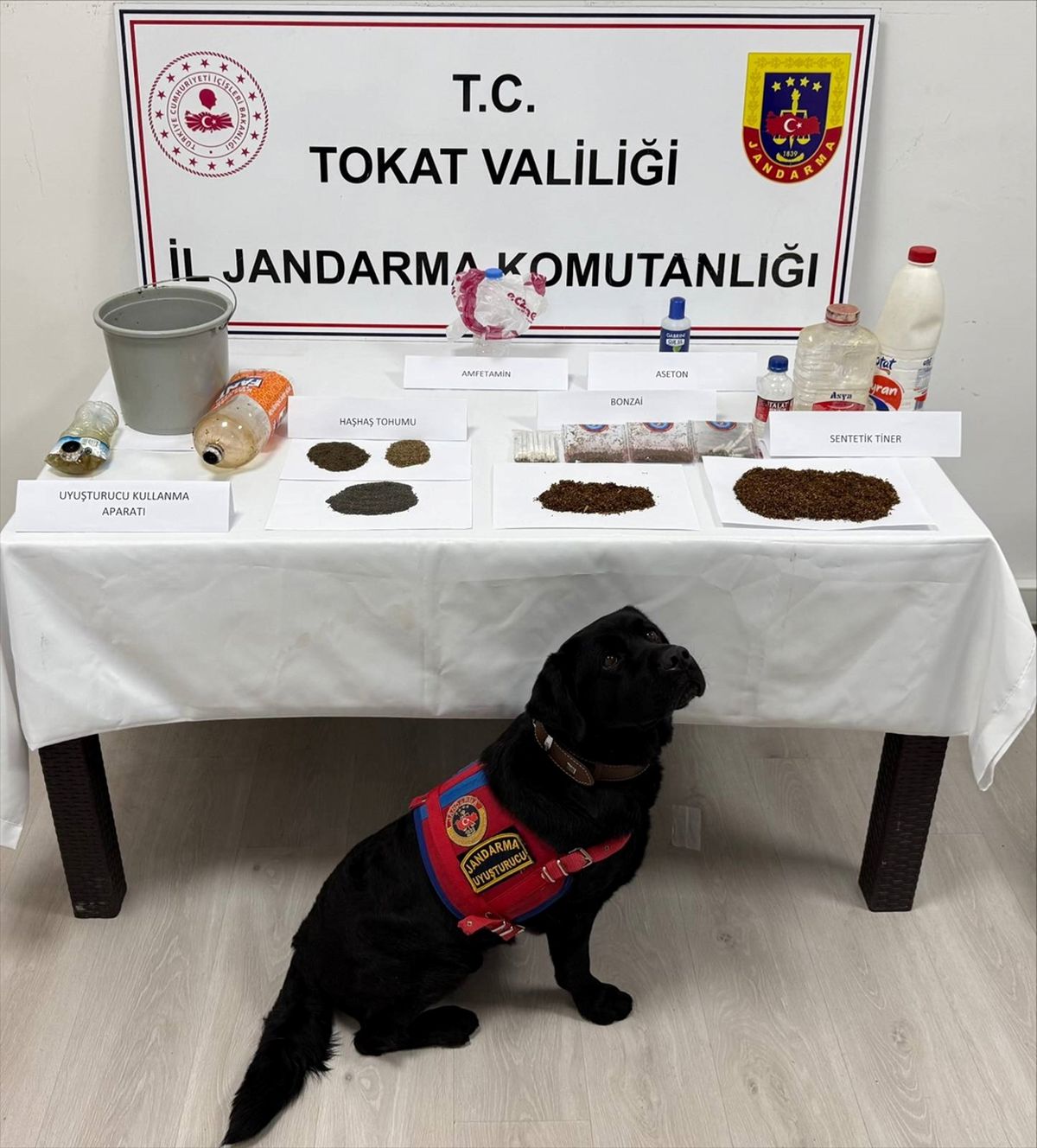 Tokat'ta uyuşturucu operasyonunda 8 zanlı yakalandı