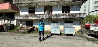 Trabzon'da kahverengi kokarca ile mücadele devam ediyor