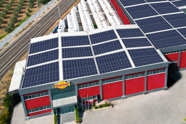 turkiyenin 40 yillik zeytin fi 5f9c5bbdb4 8163 1 m