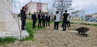 Ulaş'ta öğrenciler okul bahçesine meyve fidanı dikti