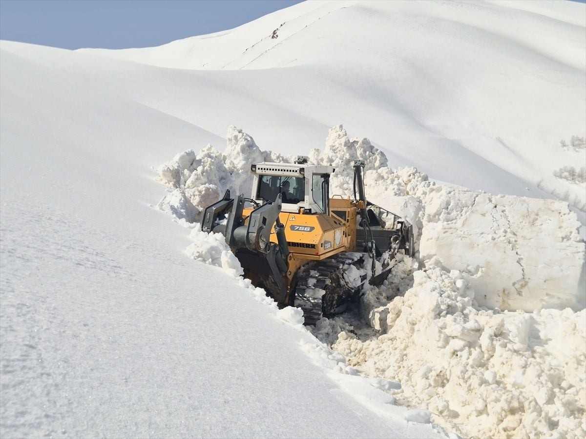 Van, Bitlis ve Muş'ta karla mücadele çalışmaları sürüyor