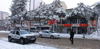 Van ve Bitlis'te kar etkili oldu