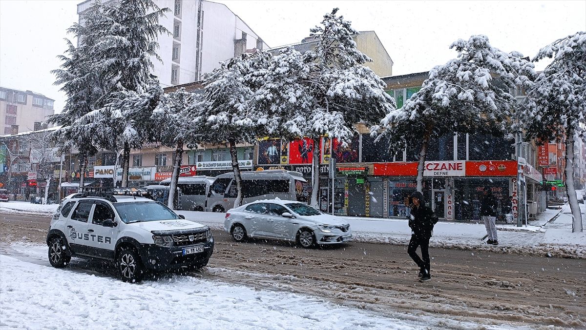 Van ve Bitlis'te kar etkili oldu