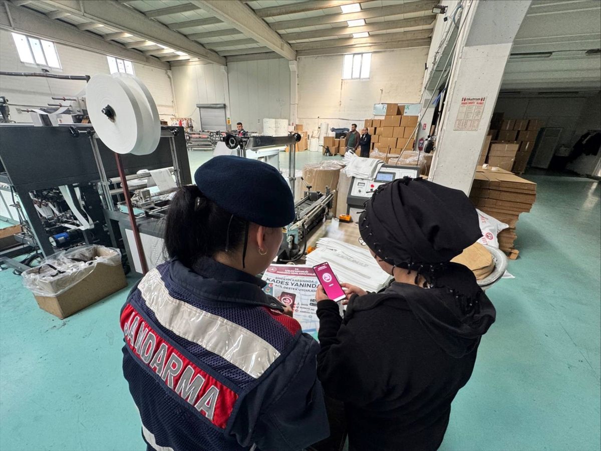 Yozgat'ta kaybolan büyükbaş hayvanlar jandarma tarafından bulundu
