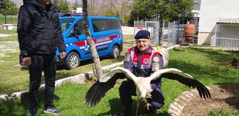 Yozgat'ta yaralı bulunan leylek tedaviye alındı