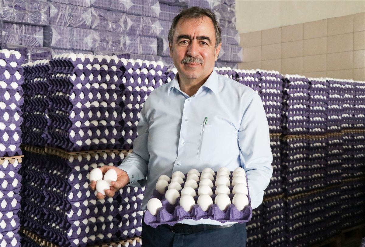 Yumurta üreticisi "mayıs çukuru"nda ihracat kotasının artmasıyla nefes aldı