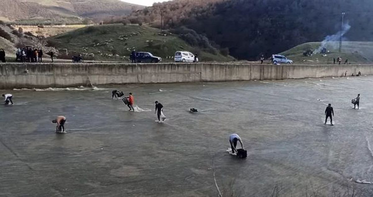 Afyonkarahisar Sandıklı balık olayı nedir? Örenler Barajı balık olayı nedir?