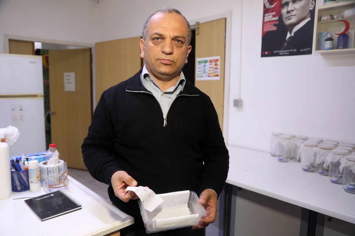 Antalya'da Yoğun Yağışlar Sivrisinek Üreme Alanlarını Artırdı