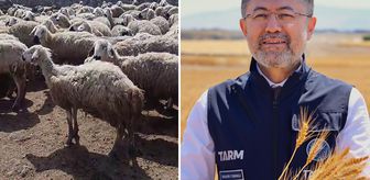 Bakan Yumaklı'nın 'Örnek üretici' dediği çiftçi video çekip yardım istedi