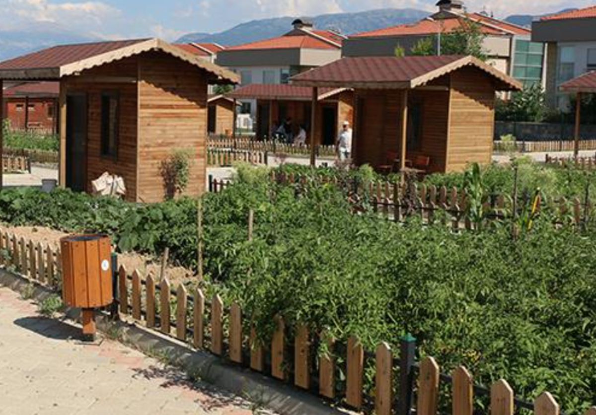 Hobi bahçeleri yıkılacak mı?