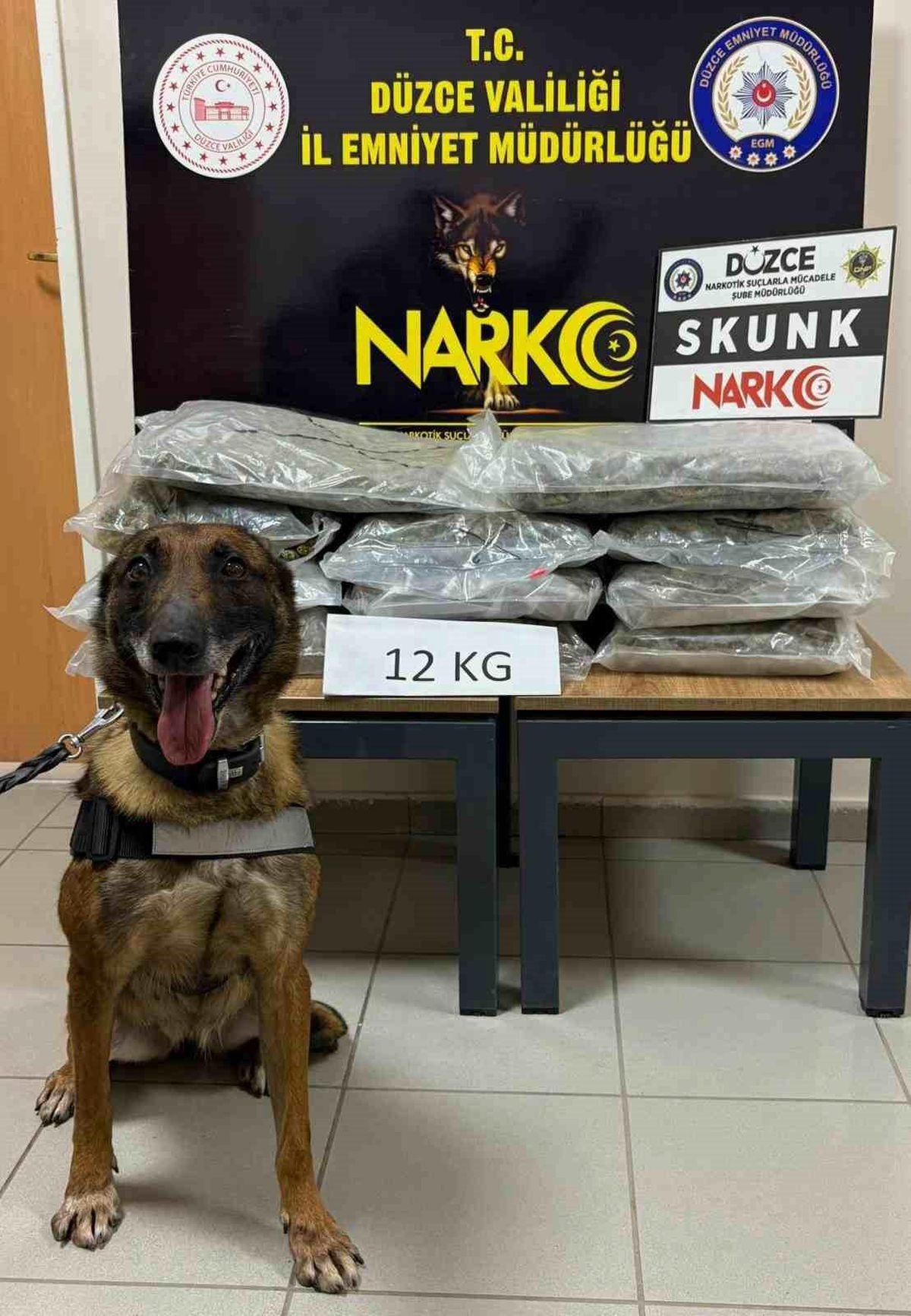İstanbul'dan Ankara'ya uyuşturucu götürüyordu, Düzce'de yakalandı
