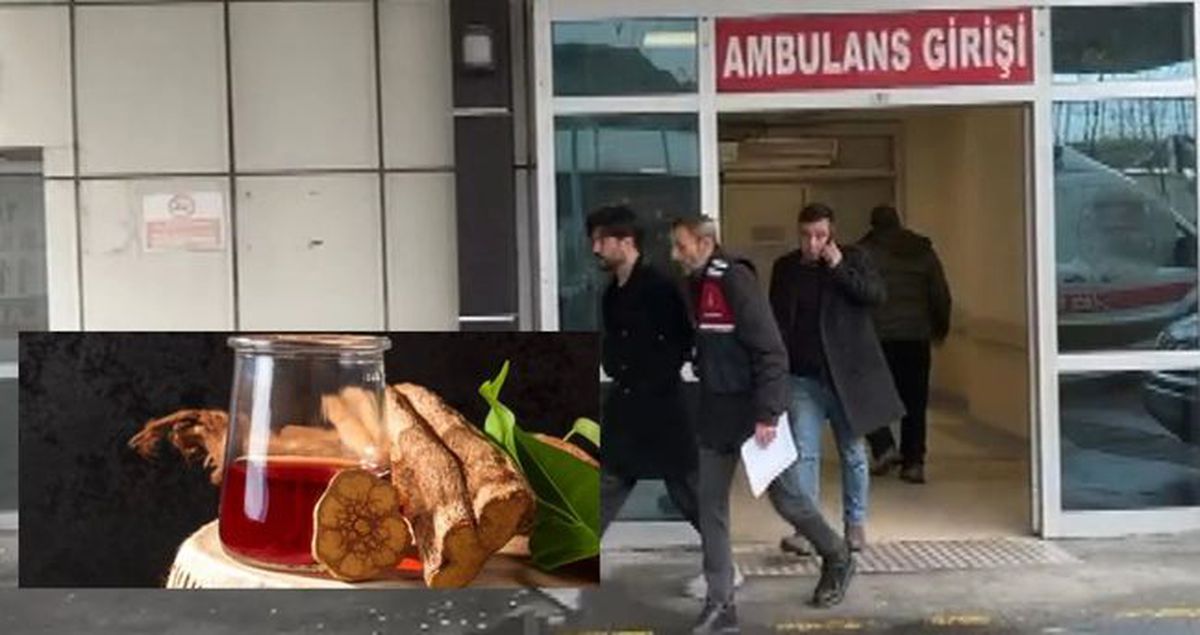 Ayahuasca çayı nedir? Yusuf Güney'in gözaltına alınmasına sebep olan ayahuasca çayı yasak mı, içeriğinde n...
