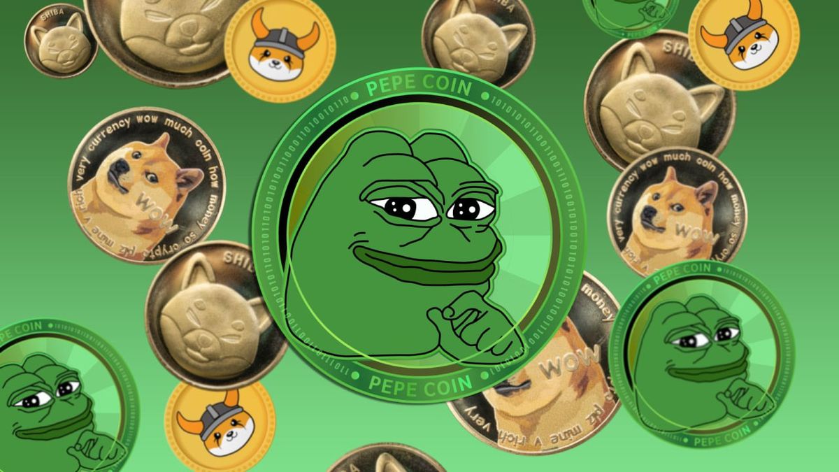 Canary Capital’dan PEPE ETF başvurusu