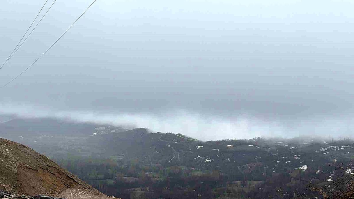 Hizan'da yoğun sis