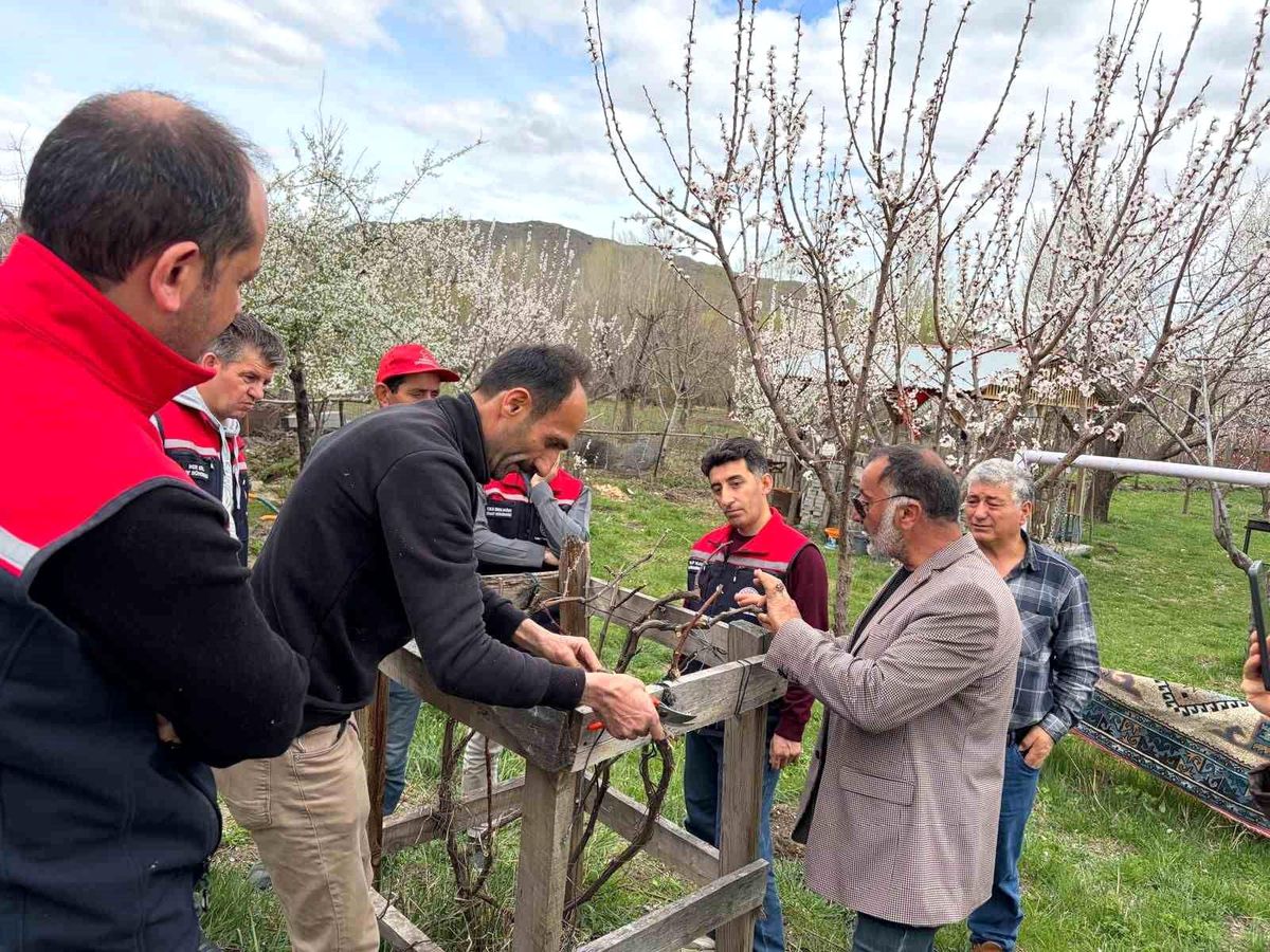 Kağızman'da meyvecilikte eğitim seferberliği sürüyor
