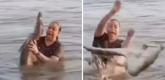 Kütük diye eline aldı, timsah çıktı! Yaşadığı şok kamerada