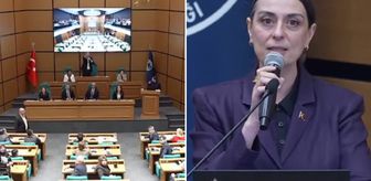 Sinem Dedetaş'tan belediye meclisine damga vuran 'Erdoğan' çıkışı: Rahatsız olmuyorum