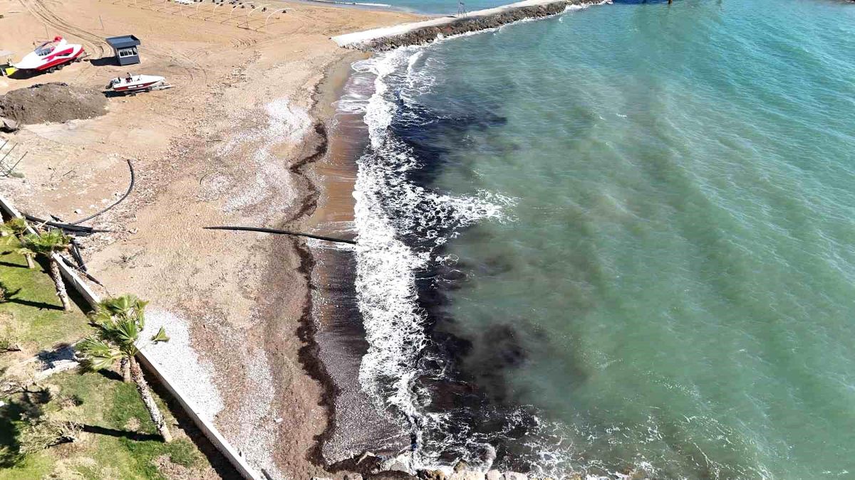Alanya'da sahildeki siyah tabaka önce tedirgin etti, gerçek sonradan ortaya çıktı