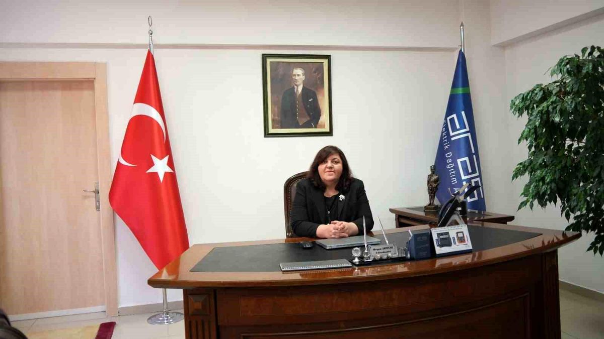 Aras Elektrik'ten Ardahan'a 2,3 Milyar TL'lik yatırım