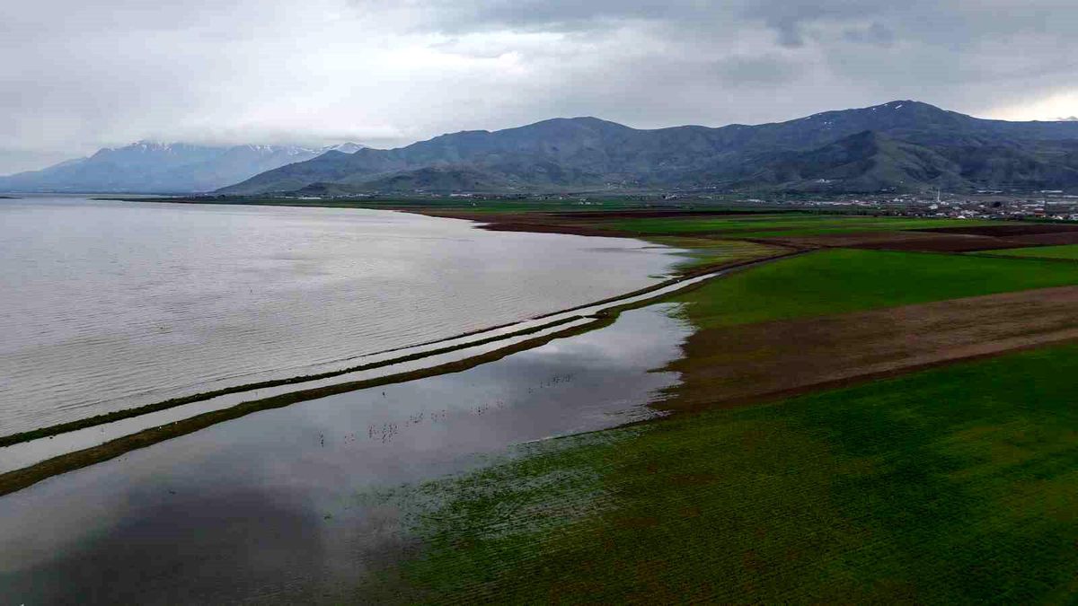 Aynı nokta, 7 yıl arayla: 2019'da kurudu, 2026'da sular altında kaldı