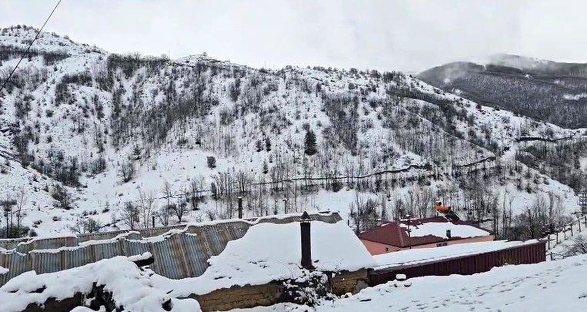 Bahar yerini kışa bıraktı: Erzincan Refahiye'de kar yağışı etkili oldu