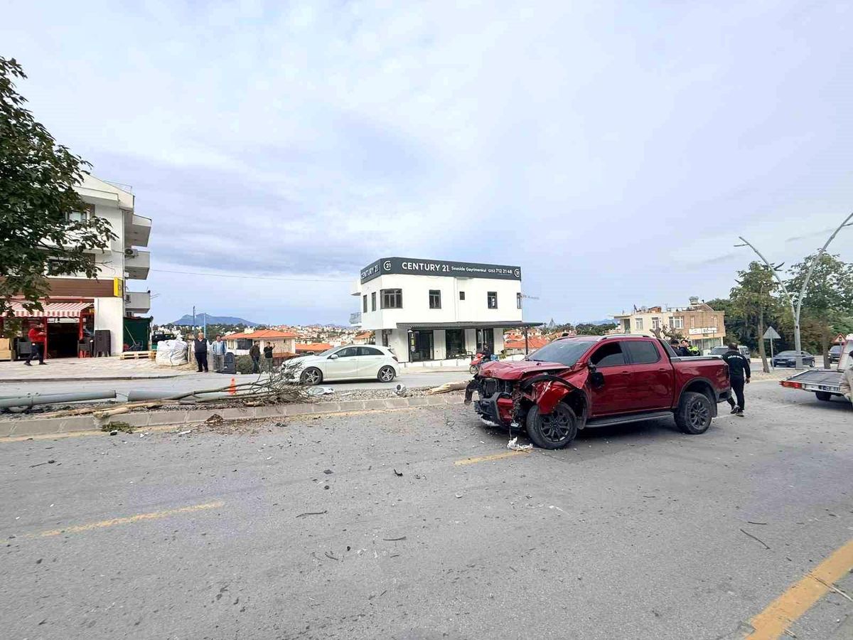 Direksiyon hakimiyetini kaybetti, 2 ağaç ve elektrik direğini yerinden söktü