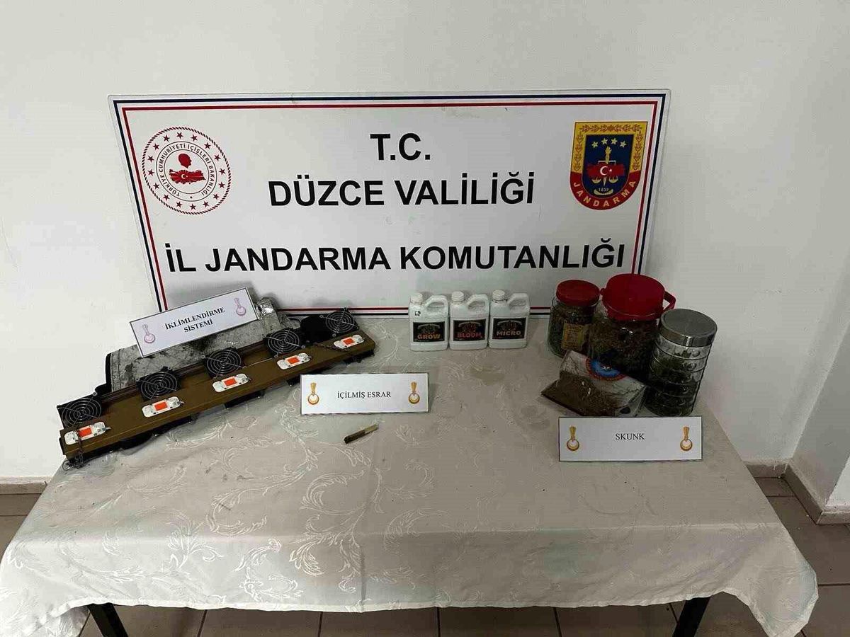 Evlerinde kenevir bahçesi kuran 2 kardeş suçüstü yakalandı