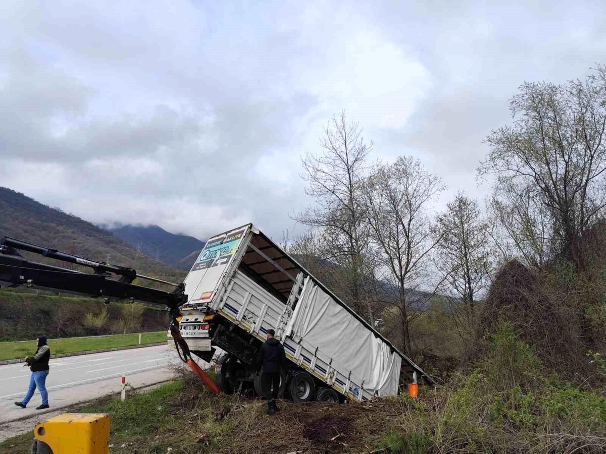 Tokat'ta tır devrildi: 3 kişi yaralandı, 6 hayvan telef oldu
