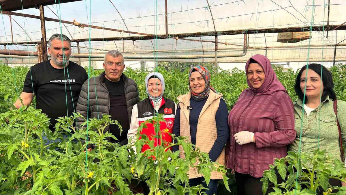 Aksu'da örtü altı tarımda yıllık yaklaşık 370 bin tonluk rekoltenin tamamı kadın çiftçilerin emeğiyle üret...