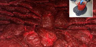 Halk sağlığını hiçe saydılar: 10 ton kaçak midye ele geçirildi