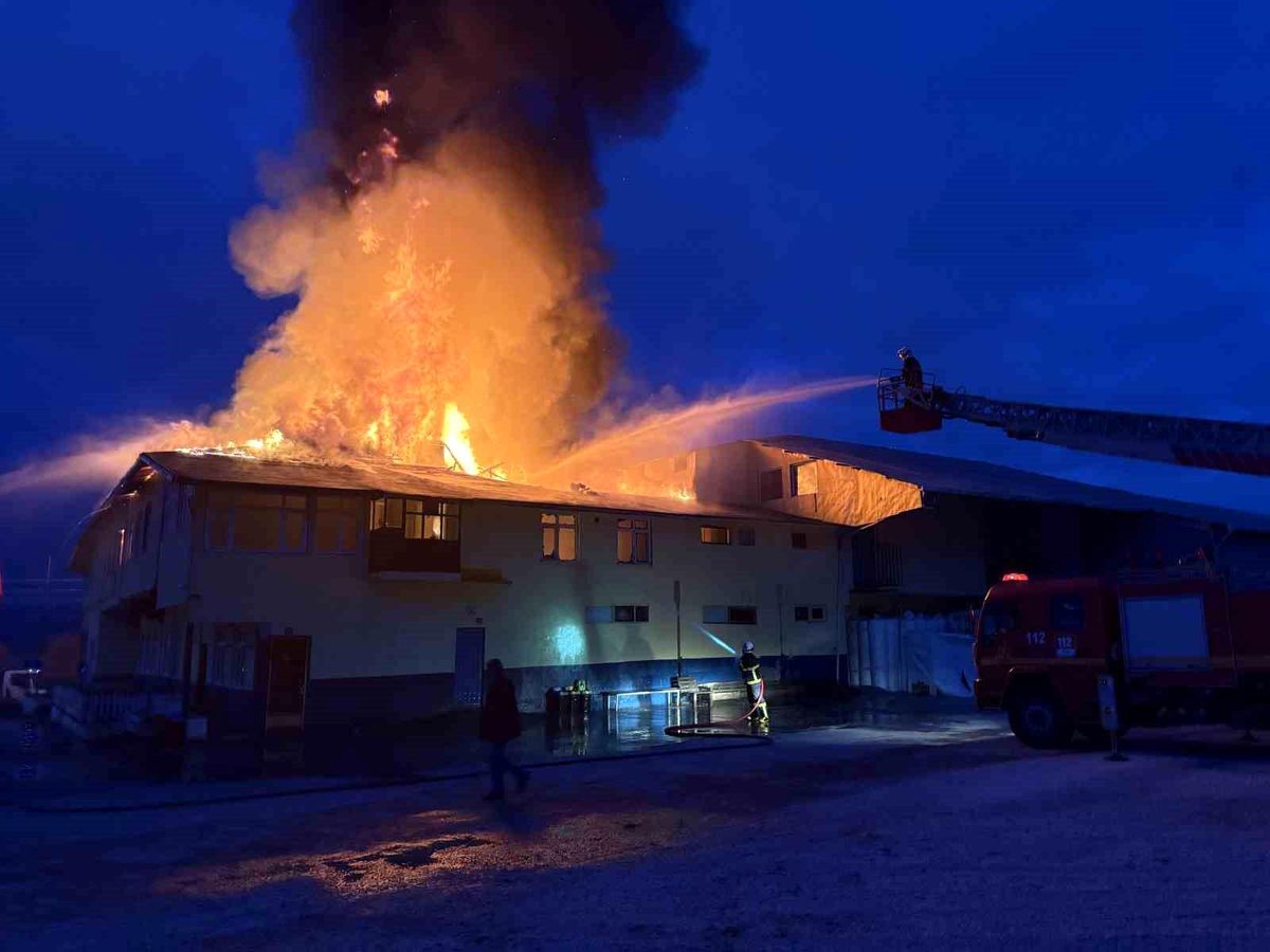 Kastamonu'da fabrika yangını
