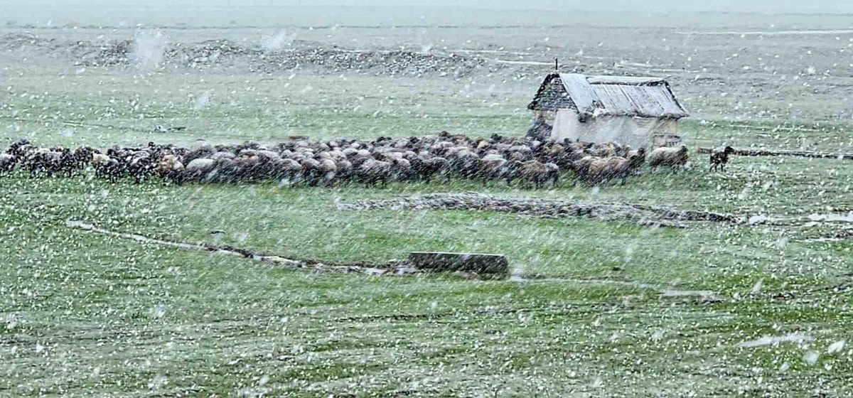 Muş'ta nisan karı etkisini sürdürüyor: 22 köy yolu ulaşıma kapandı