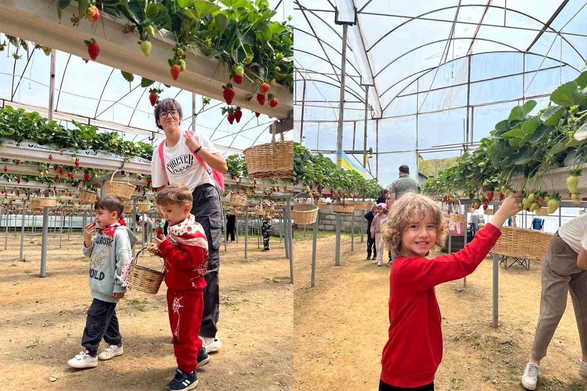 ALKÜ'lü minikler fidan dikip çilek topladı
