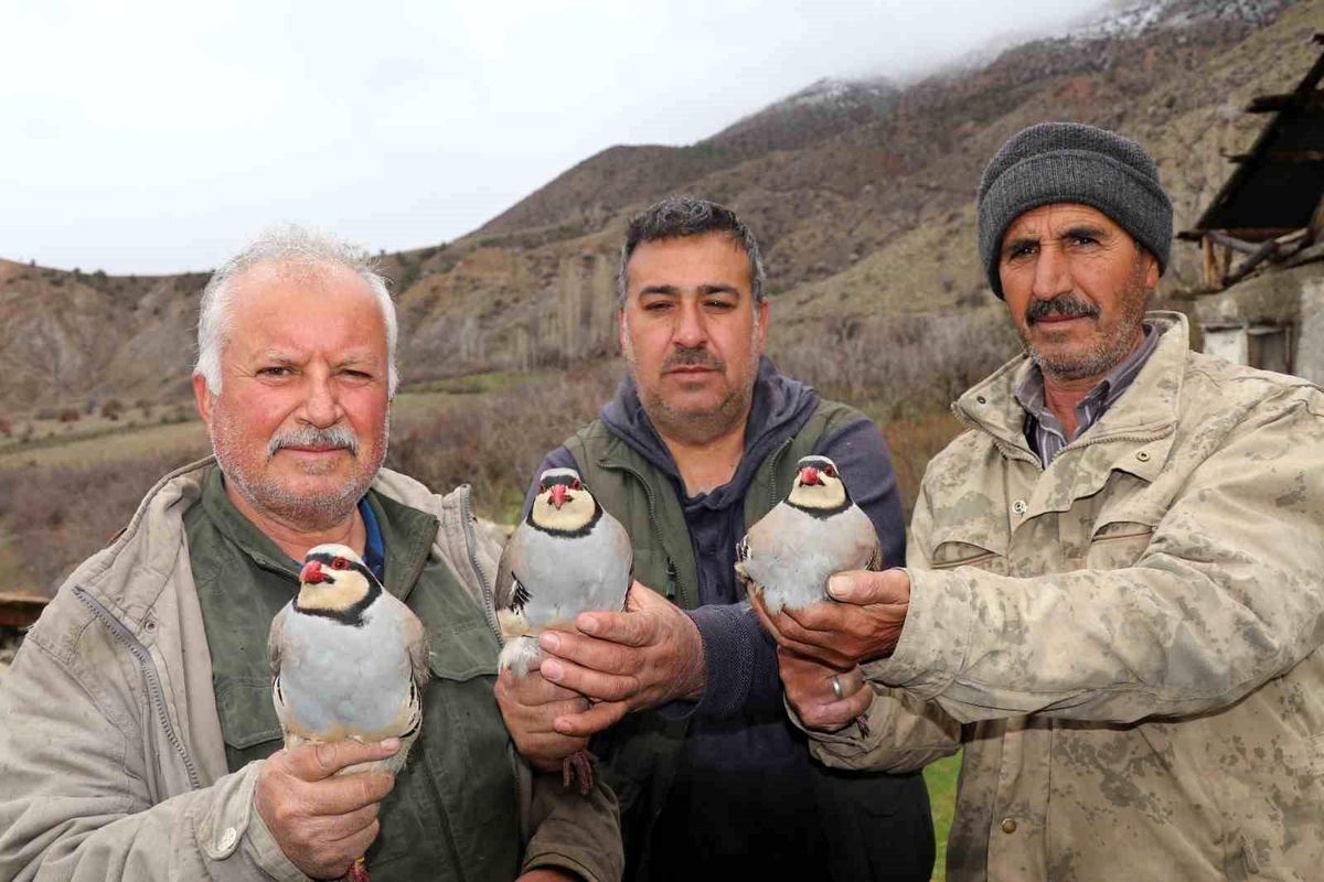 Atadan toruna kalan miras: "Baskın keklik" yöntemiyle dev envanter