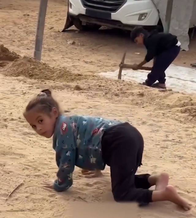 Humanitarian drama in Gaza