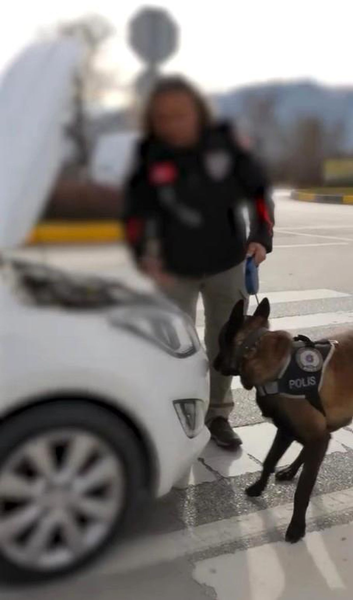 Isparta'da 1 haftalık narkotik operasyonlarında 4 şüpheli tutuklandı
