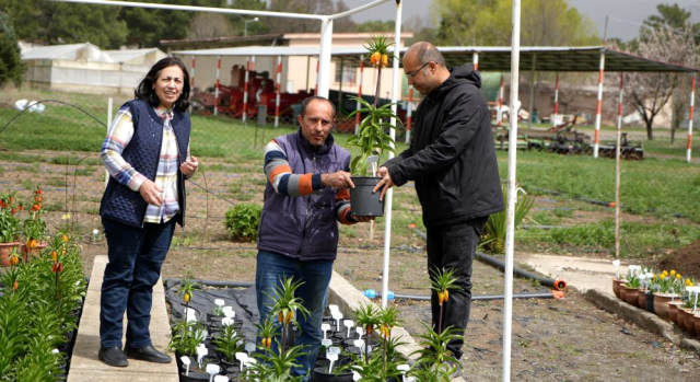 ters laleyi koparmanin cezasi 19743716 7510 3 m