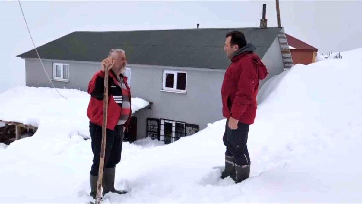 Torul'da kar altında ayı nöbeti